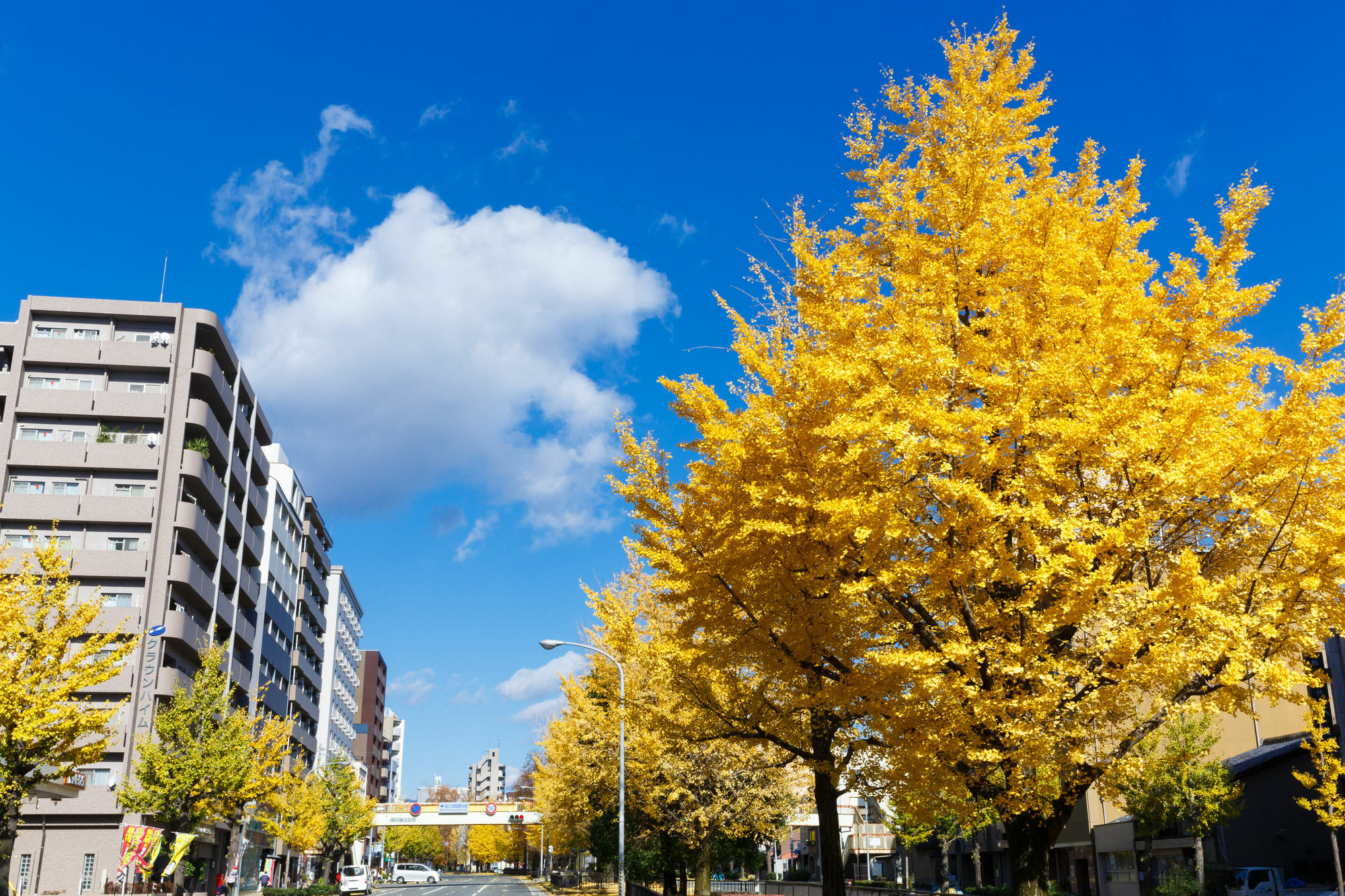 Kyoto City Hotel Exterior photo